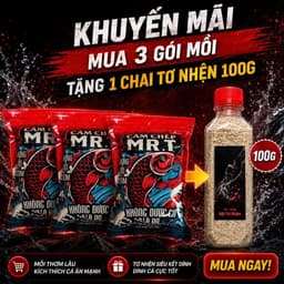 [Mua 5 gói mồi Tặng 1 tơ nhện Thái] Cám Chép MR.T 500g - Có vị thơm dẫn dụ cá Chép với công thức đặc biệt 2