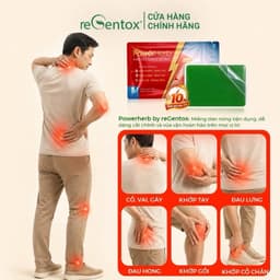 Miếng Dán Nóng Thảo Mộc PowerHerb Giữ Ấm Giảm Nhức Mỏi Cơ Xương Khớp Vùng Lưng Vai Gáy - 1 Hộp 20 Miếng 4