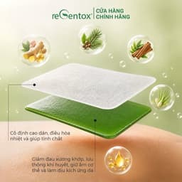 Miếng Dán Nóng Thảo Mộc PowerHerb Giữ Ấm Giảm Nhức Mỏi Cơ Xương Khớp Vùng Lưng Vai Gáy - 1 Hộp 20 Miếng 5