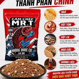 [Combo chỉ 100k] Combo Cám và Hương Liệu MR.T chuyên câu Chép Giòn, Chép Cũ, Chép Mới 6