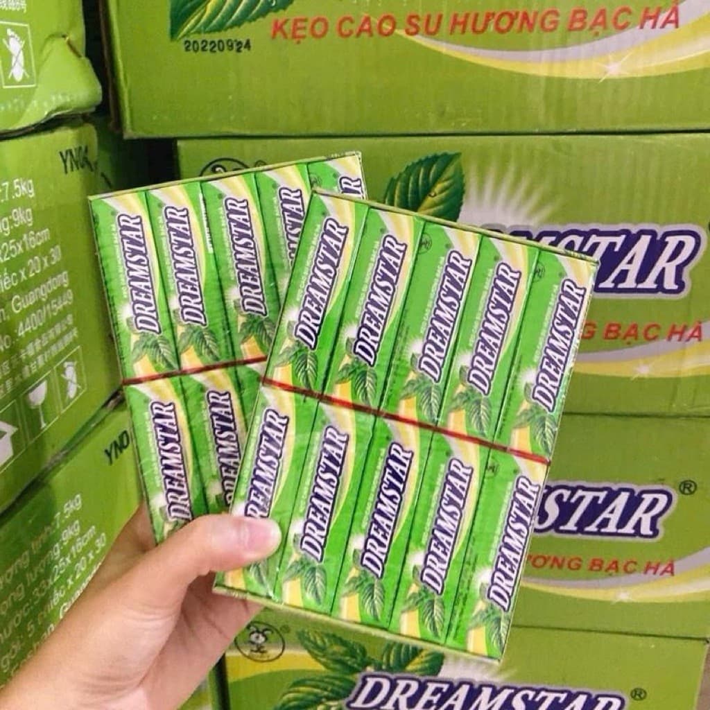 Vỉ 20 thanh kẹo gum dreamstar vị kẹo hà, kẹo gum bạc hà thơm mát
