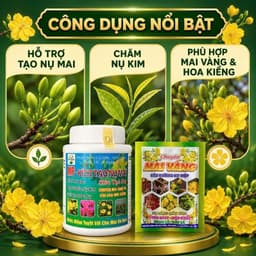 MP-SIÊU KÍCH NỤ MAI CHAI 100GR-SIÊU NỤ, SIÊU HOA( mua 1 tặng 1) 2