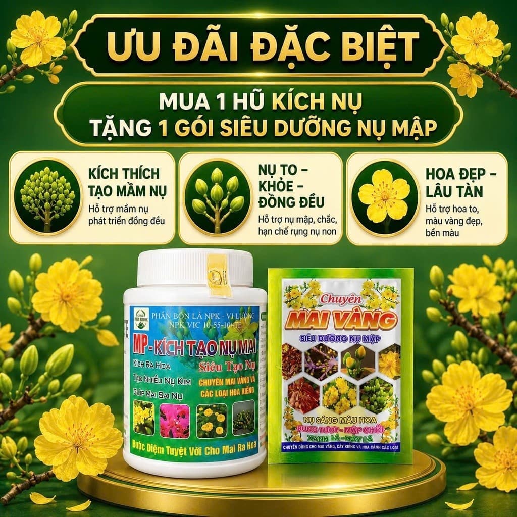 MP-SIÊU KÍCH NỤ MAI CHAI 100GR-SIÊU NỤ, SIÊU HOA( mua 1 tặng 1)