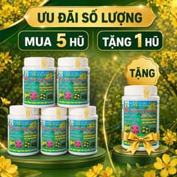 MP-SIÊU KÍCH NỤ MAI CHAI 100GR-SIÊU NỤ, SIÊU HOA( mua 1 tặng 1) 3