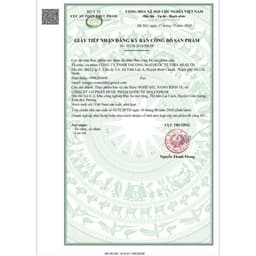 Nghệ Gel Bình Vị Tâm Dược chữ N hộp 30 gói - Hỗ trợ giảm viêm loét dạ dày tá tràng 5