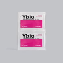 Thực phẩm bảo vệ sức khỏe DHG PHARMA Ybio Cốm Bổ Sung Lợi Khuẩn, Hỗ trợ Giảm Rối Loạn Tiêu Hóa (Hộp 24 gói x 1g) 3