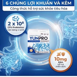 Men vi sinh Yunpro - Cân bằng vi sinh, bảo vệ hệ tiêu hoá Hộp 60 gói 5