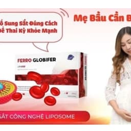 SẮT SINH HỌC NHẬP KHẨU TỪ CHÂU ÂU Ferro Globifer BỔ SUNG SẮT, GIẢM NGUY CƠ THIẾU MÁU CHỈ VỚI 1 VIÊN MỖI NGÀY HỘP 60viên 2