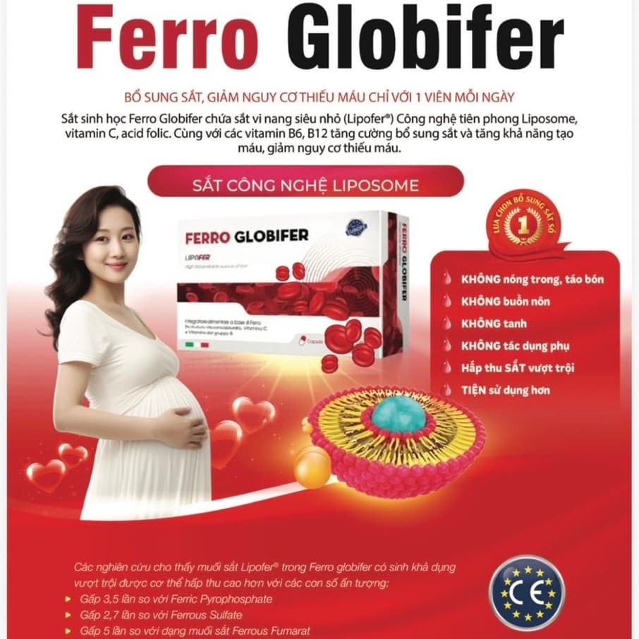 SẮT SINH HỌC NHẬP KHẨU TỪ CHÂU ÂU Ferro Globifer BỔ SUNG SẮT, GIẢM NGUY CƠ THIẾU MÁU CHỈ VỚI 1 VIÊN MỖI NGÀY HỘP 60viên