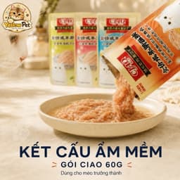 Combo 10 gói pate Ciao Nội Địa Mix Vị Thượng Hạng Cho Mèo Bổ Sung Năng Lượng | Yellow Pet 4