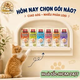 Combo 10 gói pate Ciao Nội Địa Mix Vị Thượng Hạng Cho Mèo Bổ Sung Năng Lượng | Yellow Pet 6