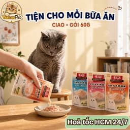 Combo 10 gói pate Ciao Nội Địa Mix Vị Thượng Hạng Cho Mèo Bổ Sung Năng Lượng | Yellow Pet 2