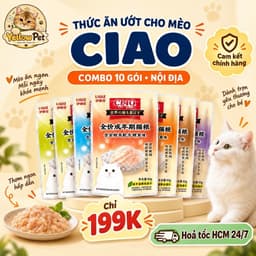 Combo 10 gói pate Ciao Nội Địa Mix Vị Thượng Hạng Cho Mèo Bổ Sung Năng Lượng | Yellow Pet 1
