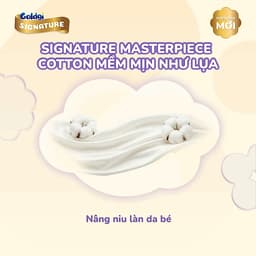 Tã Bỉm Nhật Goldgi Signature Ngừa Hăm, Siêu Êm Mềm Cho Làn Da Nhạy Cảm 1 Bịch 5