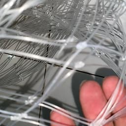Cuộn lưới gân trắng dài 10m/20m/30m, cao 2,5m, mắt lưới 10p – phù hợp làm hàng rào chăn nuôi gà, làm giàn leo... 2