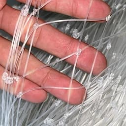 Cuộn lưới gân trắng dài 10m/20m/30m, cao 2,5m, mắt lưới 10p – phù hợp làm hàng rào chăn nuôi gà, làm giàn leo... 4