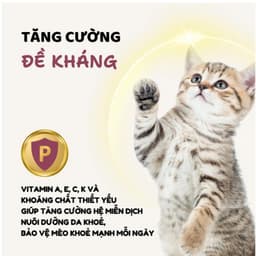 [ 1kg ] Hạt cho mèo S2PET Diamond Hỗ Trợ Tiết Niệu, Tăng Cường Sức Đề Kháng Chính Hãng | Yellow Pet 4