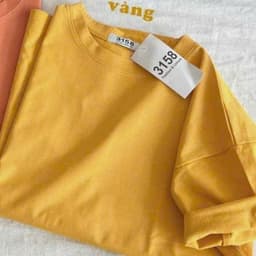 ( Vải MỎNG ) Áo thun nữ, áo phông nữ basic trơn in họa tiết NGỰA chất cotton khô form rộng siêu hot-thuba94 5