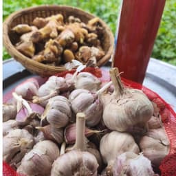 Yagita Mật Ong Ngâm Tỏi Gừng  Mật Ong Hoa rừng Mộc Châu Kết Hợp Tỏi tím ta Gừng ta Xay Nhuyễn Dễ Dùng 500ml hủ thủy tinh 4
