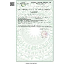 Viên uống Bổ Phổi Lungwellz Meracine - Hỗ Trợ Bổ Phổi, Giảm Ho, Giảm Đau Rát Họng,Khản Tiếng - Hộp 30 Viên 8