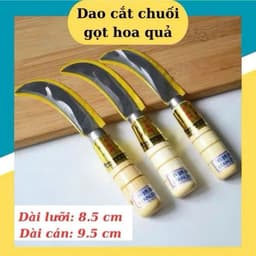 Dao gọt rau củ quả cán gỗ  chắc chắn siêu bén 7