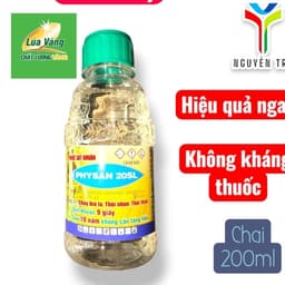 Physan 20SL (200ml) Lúa Vàng - Đặc Trị Thối Nhũn, Cháy Bìa Lá, Không Kháng Thuốc 4