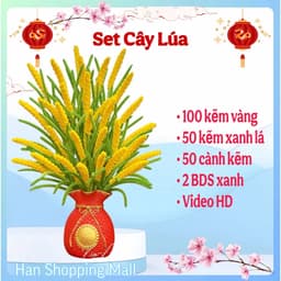 Set nguyên liệu làm CÂY LÚA kẽm nhung handmade diy 1