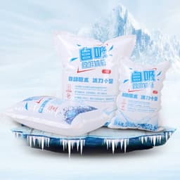 Túi gel đá khô V2 giữ lạnh lâu, sử dụng 1 lần, dùng để làm lạnh thực phẩm,đóng gói cá cảnh giao hàng 4