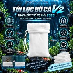 Bông lọc hồ cá V2 lớp thế hệ mới 2026 giúp giữ phân bụi mịn ,cặn hồ cá 6