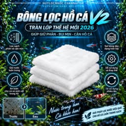 Bông lọc hồ cá V2 lớp thế hệ mới 2026 giúp giữ phân bụi mịn ,cặn hồ cá 4