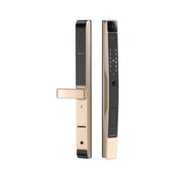 Khóa điện tử Nhận Diện Khuôn Mặt Face ID Vân Tay D20 D30 cho Cửa Nhôm Xingfa, App TTLOCK chống nước pin sạc lithium 2