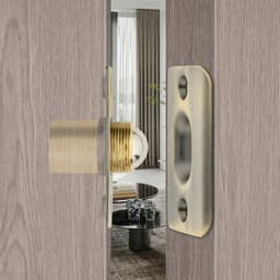 Chốt bi giữ cửa cho khóa điện tử vân tay cửa cổng loại to inox đồng (Có thể điều chỉnh được) 6