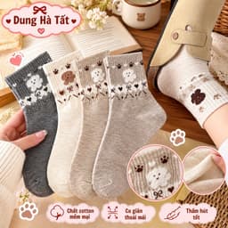 Tất Nữ Cổ Trung Cotton Mềm Mại Họa Tiết Gấu Thêu Co Giãn Thoáng Khí Phong Cách Hàn Quốc Freesize 35- 1