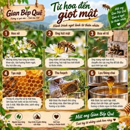 Combo 2 Lít Mật Ong Hoa Trắng (Hoa Blong Song) – GIAN BẾP QUÊ - Mật Ong Nguyên Chất 5