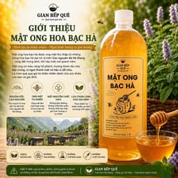 Combo 2 LÍT Mật Ong Hoa Bạc Hà – GIAN BẾP QUÊ - Mật Ong Nguyên Chất Từ Vùng Núi Hà Giang 4