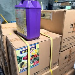 Can hữu cơ 5 lít Bioplus Boly 3