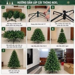 Cây Thông Noel xanh SIZE 1m5-2m4 CHƯA LẮP-CHƯA TRANG TRÍ phù hợp với mùa giáng sinh 4