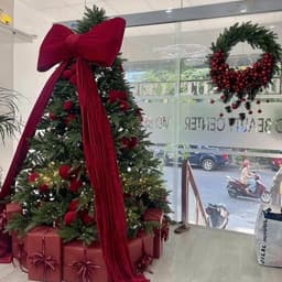 Cây Thông Noel xanh SIZE 1m5-2m4 CHƯA LẮP-CHƯA TRANG TRÍ phù hợp với mùa giáng sinh 1