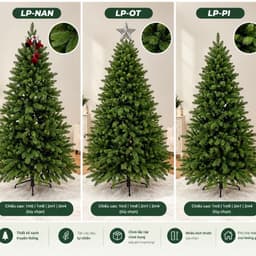 Cây Thông Noel xanh SIZE 1m5-2m4 CHƯA LẮP-CHƯA TRANG TRÍ phù hợp với mùa giáng sinh 3