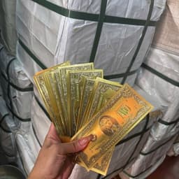 Combo 50- 100 Tờ Đô La Mạ Vàng Làm Tháp Đô Vàng Lễ, Phụ Kiện Trang Trí Tết 2027 3