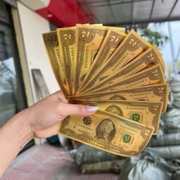 Combo 50- 100 Tờ Đô La Mạ Vàng Làm Tháp Đô Vàng Lễ, Phụ Kiện Trang Trí Tết 2027 9
