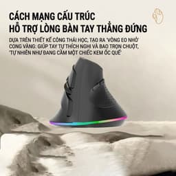 Chuột Không Dây Bluetooth + Usb Receive 2.4 Công Thái Học RICHTECH - MX101, 3 Mức DPI, Êm, Led RGB 6