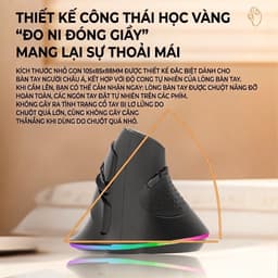 Chuột Không Dây Bluetooth + Usb Receive 2.4 Công Thái Học RICHTECH - MX101, 3 Mức DPI, Êm, Led RGB 8