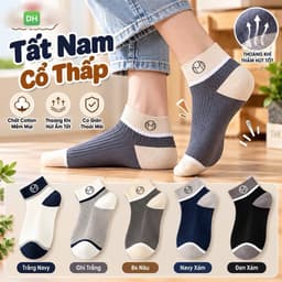 Tất Nam Cổ Ngắn Cotton Co Giãn Họa Tiết Núi Phú Sĩ Đan Lưới Thoáng Khí Chống Trượt Bo Chun Freesize 1