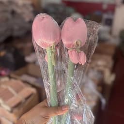 Búa Hoa Tulip Búa Ngải Cứu Đấm Lưng Đả Thông Kinh Lạc Mẫu Hoa Lụa làm quà tặng 3