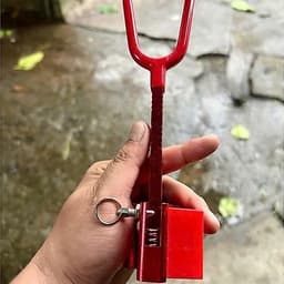Ngoe hố đấu có còi báo cá 2