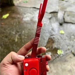 Ngoe hố đấu có còi báo cá 4