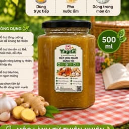 Yagita Mật Ong Ngâm Tỏi Gừng  Mật Ong Hoa rừng Mộc Châu Kết Hợp Tỏi tím ta Gừng ta Xay Nhuyễn Dễ Dùng 500ml hủ thủy tinh 1