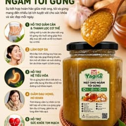 Yagita Mật Ong Ngâm Tỏi Gừng  Mật Ong Hoa rừng Mộc Châu Kết Hợp Tỏi tím ta Gừng ta Xay Nhuyễn Dễ Dùng 500ml hủ thủy tinh 6