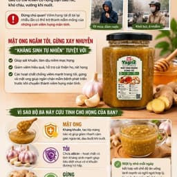 Yagita Mật Ong Ngâm Tỏi Gừng  Mật Ong Hoa rừng Mộc Châu Kết Hợp Tỏi tím ta Gừng ta Xay Nhuyễn Dễ Dùng 500ml hủ thủy tinh 9